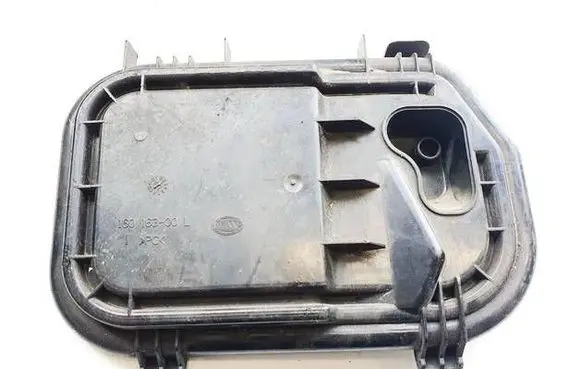 Opel Antara Headlight/headlamp dust cover 16016300L