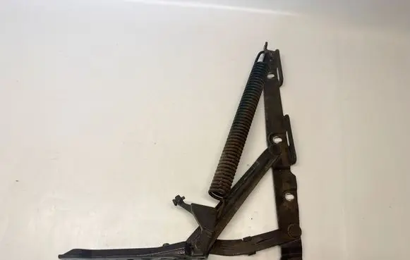 Mercedes-Benz CL C215 Tailgate/trunk/boot hinge A2157500487