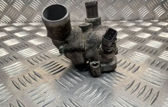 Thermostat/thermostat housing
