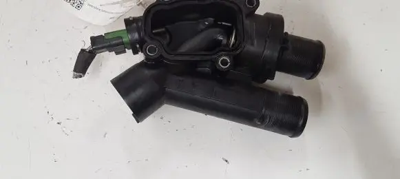 Thermostat/thermostat housing