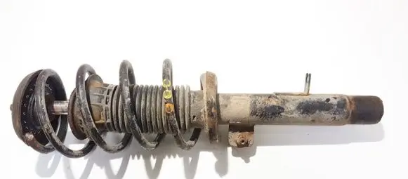 Peugeot 1007 Front shock absorber/damper 334826