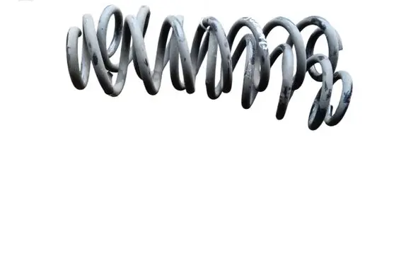 Rear coil spring