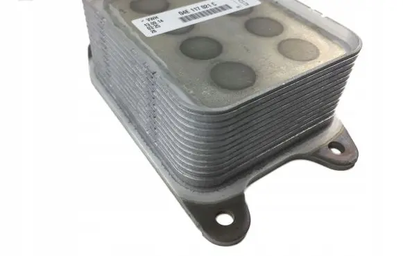 Volkswagen Polo V 6R Oil filter mounting bracket 04E117021C