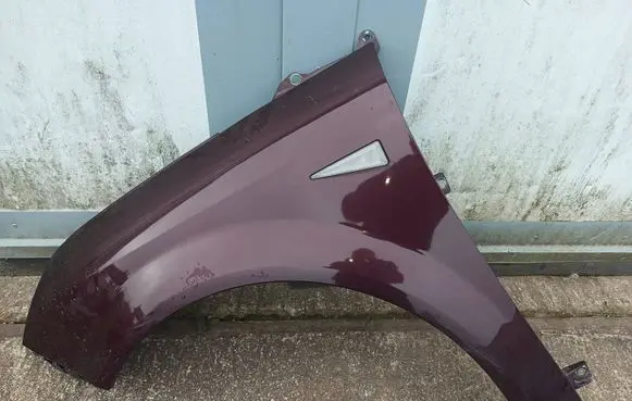 Renault Scenic II - Grand scenic II Fender