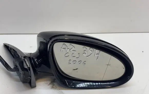 Mercedes-Benz CLS C219 Front door electric wing mirror 454202