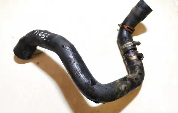 Ford Focus Engine coolant pipe/hose