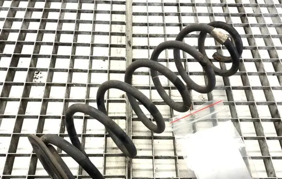 Skoda Octavia Mk3 (5E) Rear coil spring