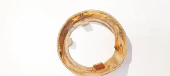 Honda Accord Front coil spring rubber mount 