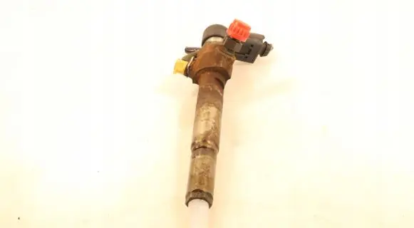 Renault Megane II Fuel injector 8200380253