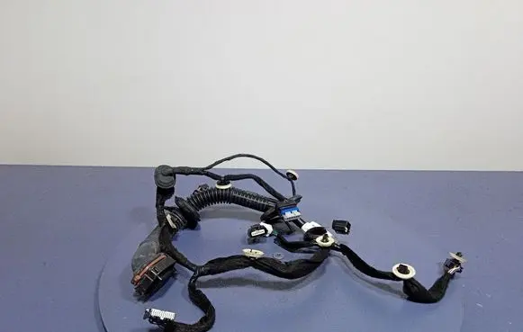 Renault Clio V Other wiring loom 241251569R