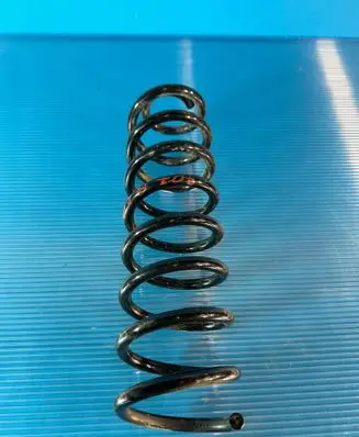 Renault Megane II Rear coil spring