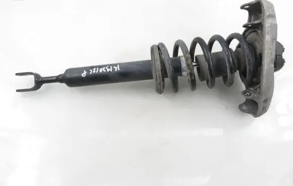 Audi A4 S4 B6 8E 8H Front shock absorber with coil spring DSB250G