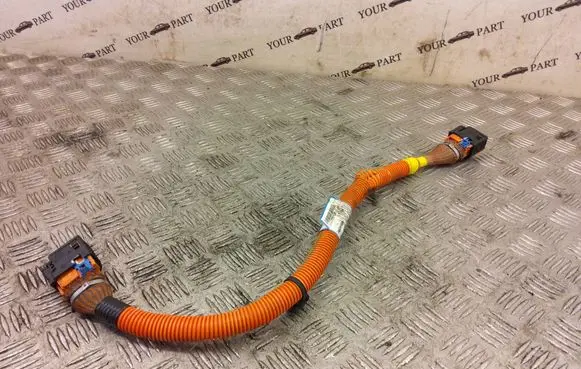 Renault Zoe Other wiring loom 240419193R