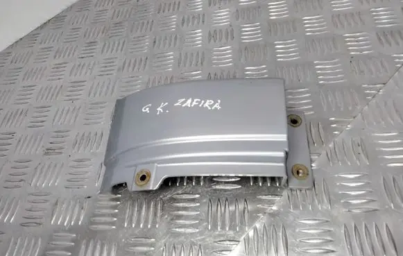 Rear/tail light trim molding