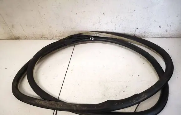 Citroen C5 Rubber seal front coupe door