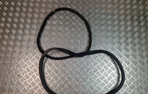 Hyundai Santa Fe Front door rubber seal