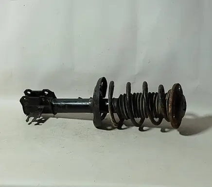 Opel Vectra C Front shock absorber with coil spring E0270061
