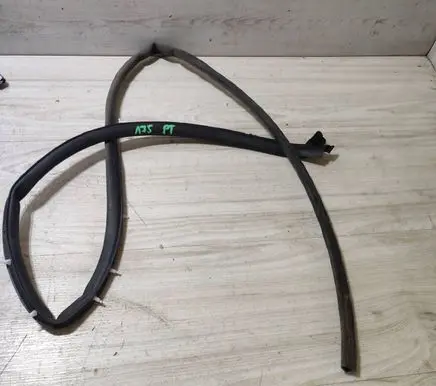 Dacia Duster II Rubber seal rear door