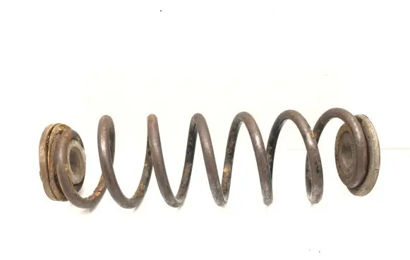 Volkswagen PASSAT B6 Rear coil spring
