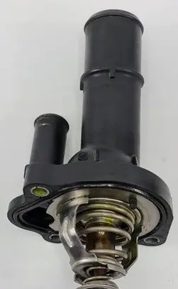 Thermostat/thermostat housing