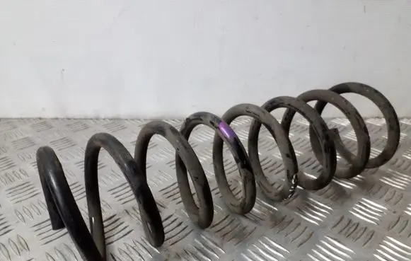 Ford C-MAX II Rear coil spring
