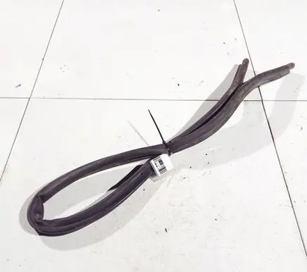 Renault Laguna III Rubber seal front coupe door 