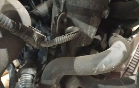 Seat Altea Engine coolant pipe/hose