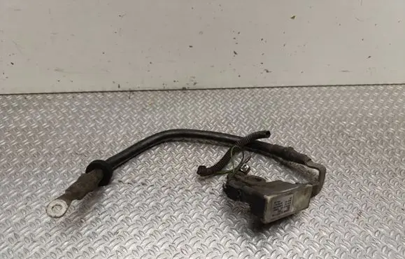 Fiat Doblo Negative earth cable (battery) 0199000042 12000223 554950430001