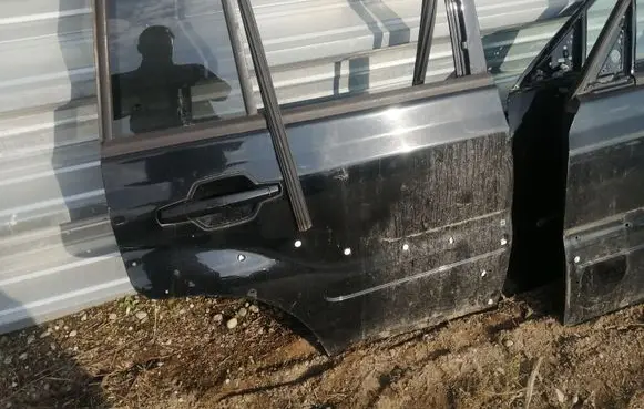 Hyundai Terracan Rear door