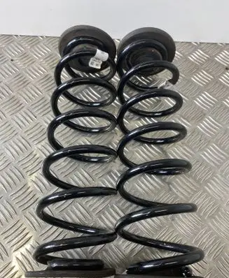 Rear coil spring