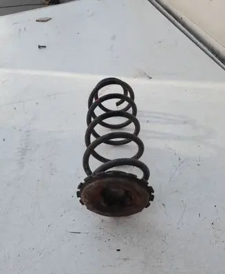 Mercedes-Benz A W169 Rear coil spring A1693250384
