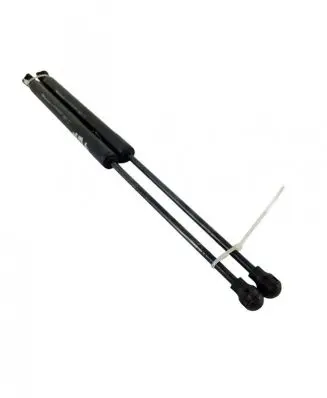 Renault Captur Tailgate/trunk strut/damper 844301324R