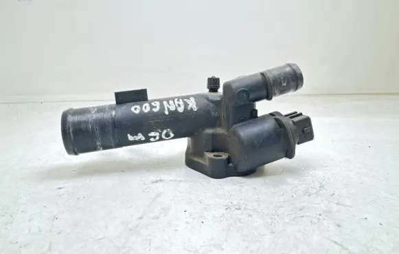 Thermostat/thermostat housing