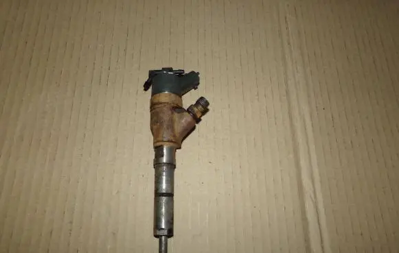 Peugeot Boxer Fuel injector 0445110044