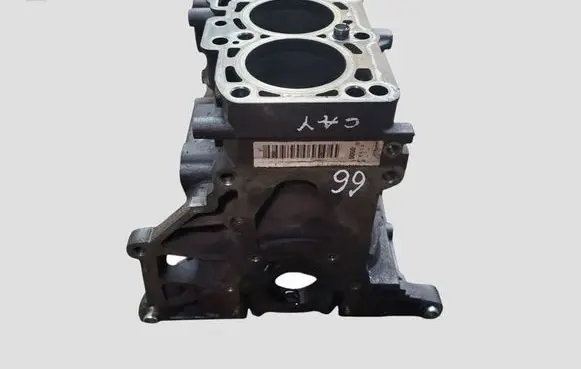 Skoda Octavia Mk2 (1Z) Engine block CAY