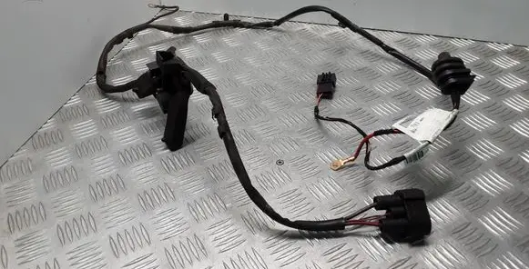 Audi A6 S6 C6 4F Other wiring loom 4F1971284D