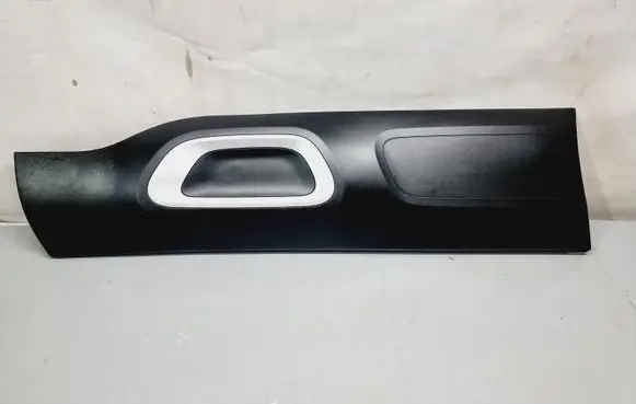 Front door trim (molding)
