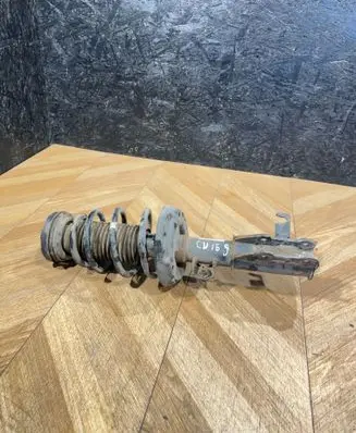 Opel Insignia A Front shock absorber/damper