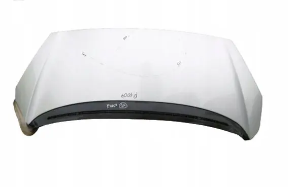 Peugeot 1007 Engine bonnet/hood