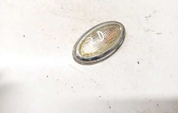 Dodge Magnum Front fender indicator light E110068