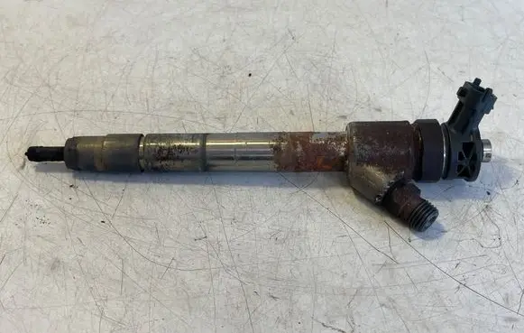 Opel Vivaro Fuel injector 0445110155 9828959880