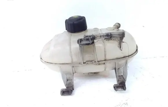 Opel Vivaro Coolant expansion tank/reservoir 217101893R