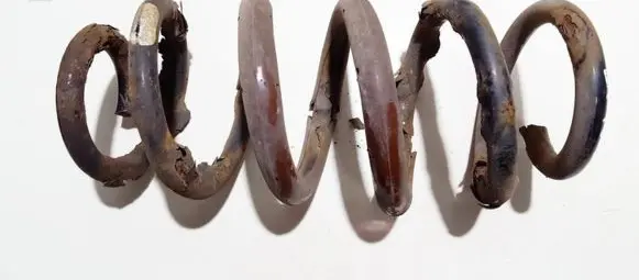 Rear coil spring