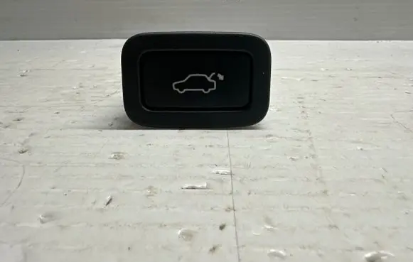 Tailgate opening switch