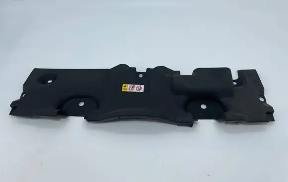 Toyota RAV 4 (XA50) Engine bonnet/hood lock trim molding 1668125020