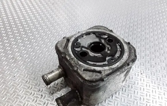 Volkswagen PASSAT B5 Oil filter mounting bracket 050115417