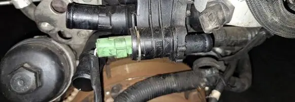 Ford Focus Engine coolant pipe/hose