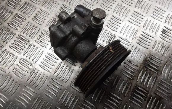 Volkswagen Golf V Power steering pump 1J422154B