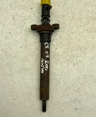Citroen C5 Fuel injector 9656389980 0579HB30F52 EJBR03801D