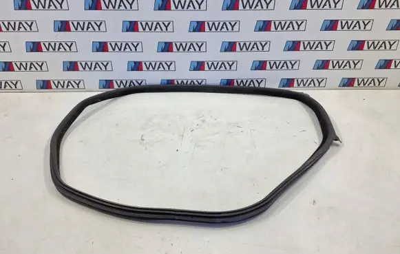 BMW 6 F06 Gran coupe Rubber seal rear door 7328772